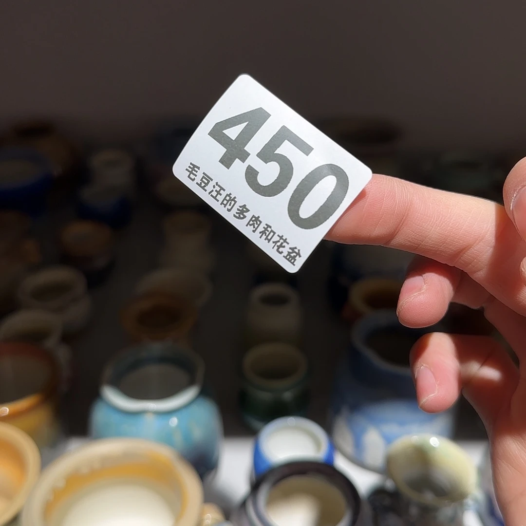 450 随机六只 瑕疵花盆 no退no换
