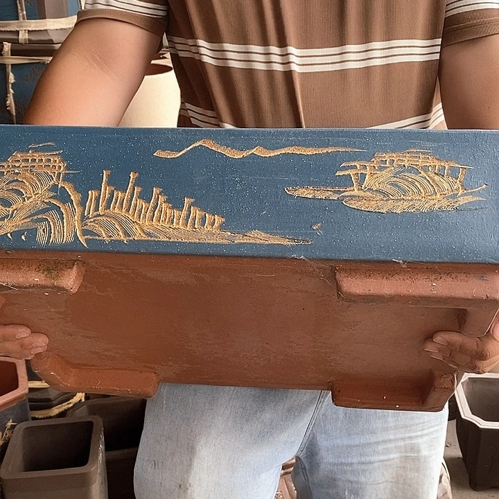 紫砂花盆盆栽观赏