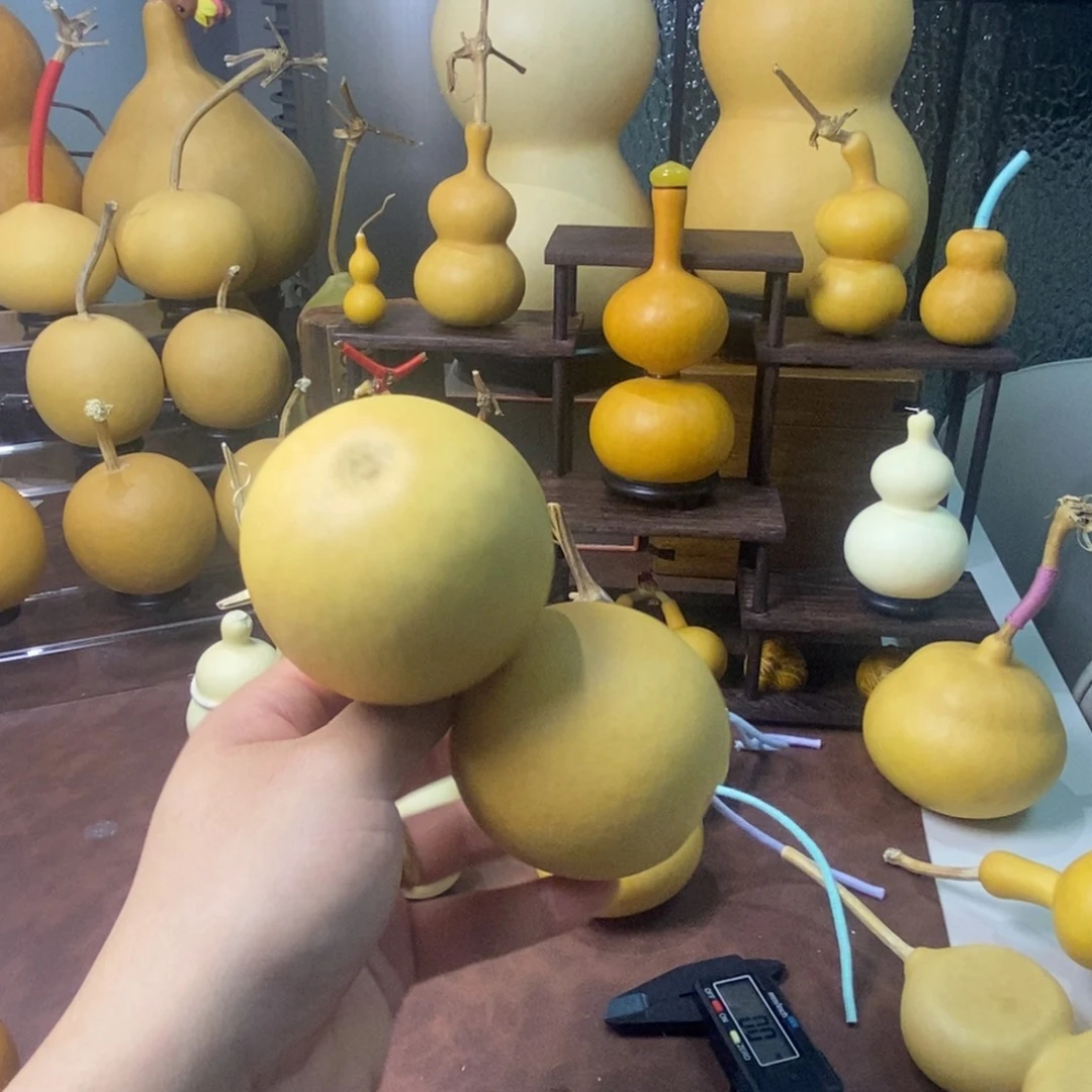 姜***菲文玩葫芦，不退不换