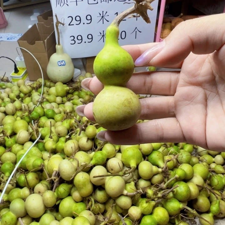 葫芦中国大陆可**！