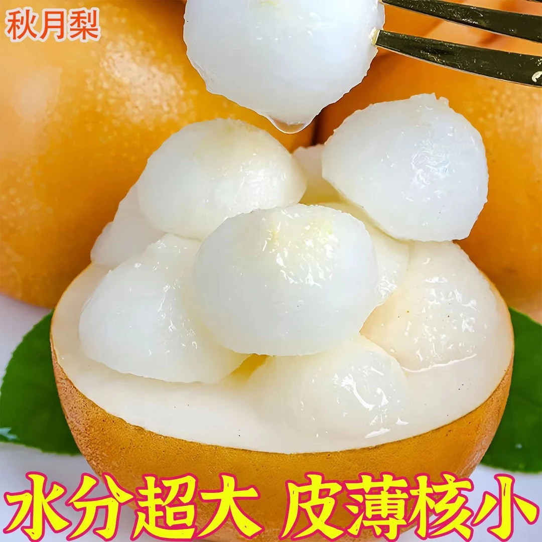 【吉满满专属】正宗山东秋月梨脆甜多汁顺丰包邮