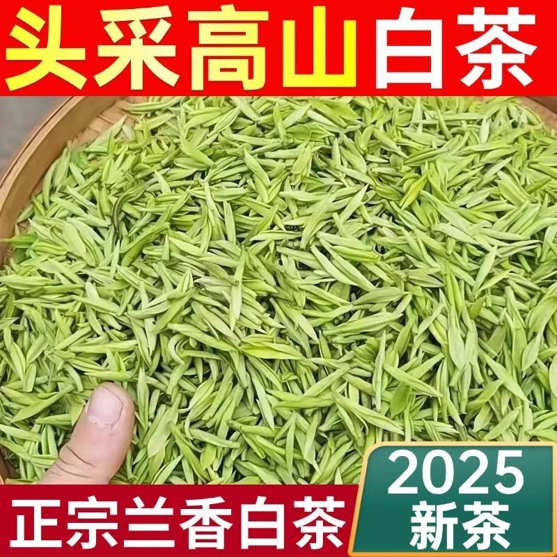 高山绿茶安吉新茶白茶新茶春采兰花香型鲜爽回甘