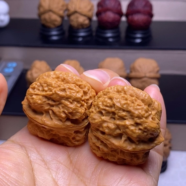 把件文玩核桃霸王龙脊11