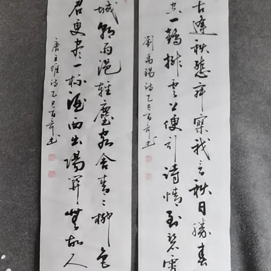 强***园书法书书屋书法作品