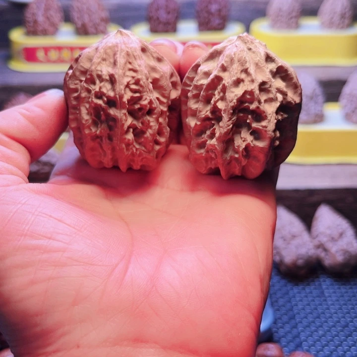 核桃9号车放漏漏漏咯