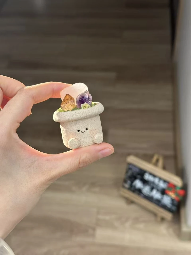 水晶小豆丁可爱大花盆