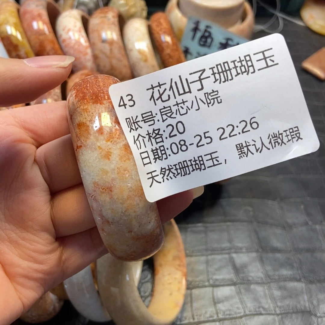 良***院未镶嵌硅化珊瑚（珊瑚玉）珠宝半成品43