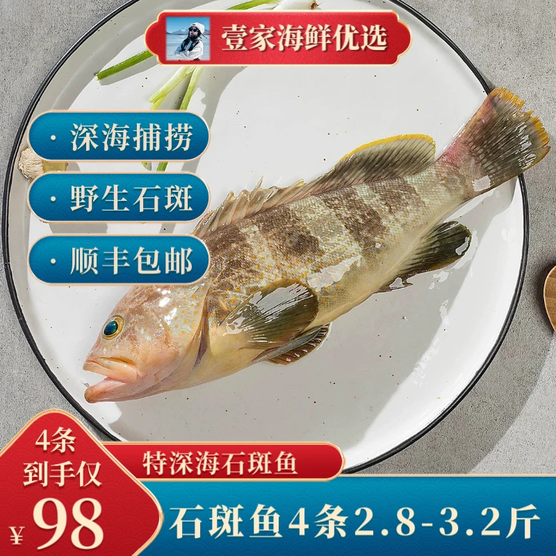 拍一发四条深海石斑鱼鲜活冷冻海鱼海鲜水产顺丰包邮冷冻海鲜