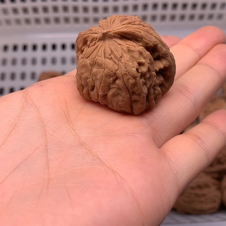 天***蝎文玩核桃吊坠文玩核桃