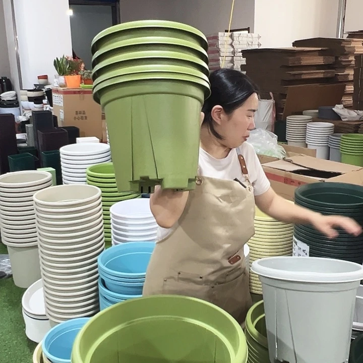青山盆口32高28果绿色无托5只