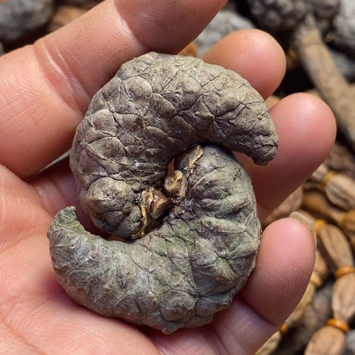 桃核吊坠娜姐真的34