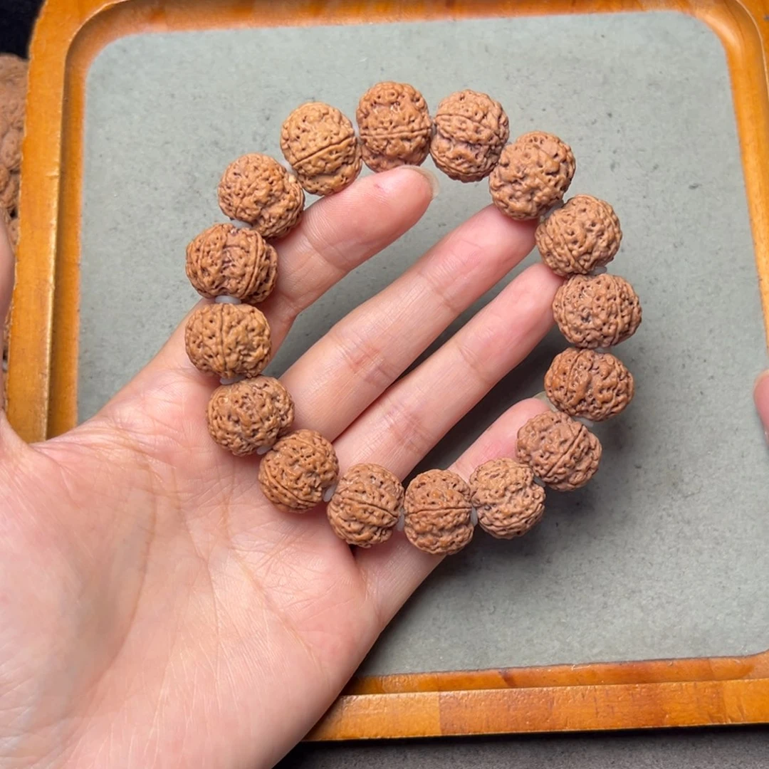 菩提16号金刚菩提蜂王18