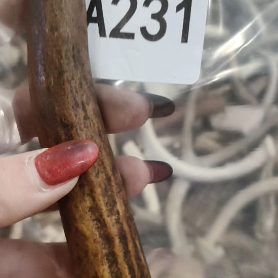 *****鹿角鹿角鹿角鹿角鹿角