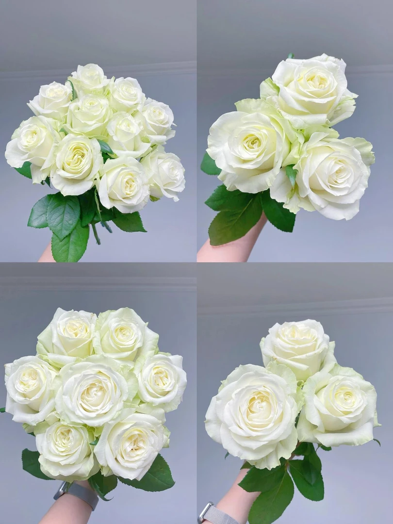 纯洁白色玫瑰10支+油画小菊一把+吸色青花瓷单头康乃馨10支