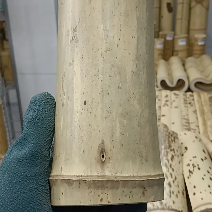 兴楠竹竹筒料。。。