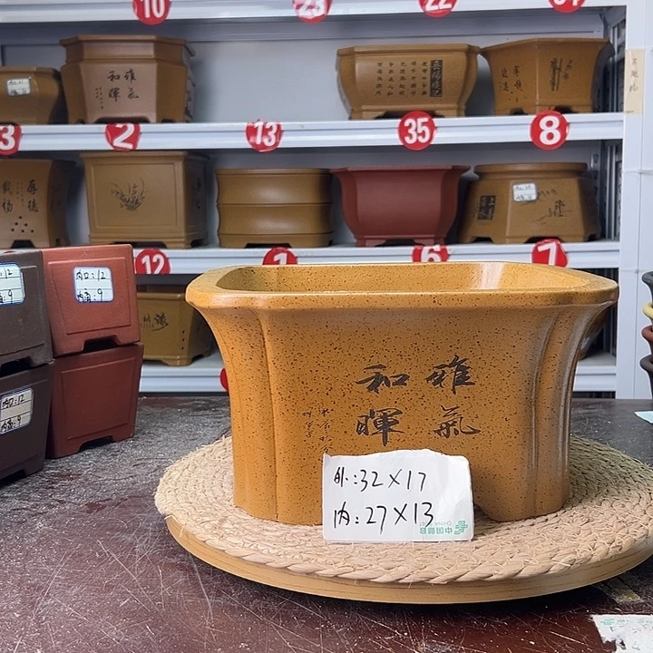 紫砂花盆蛇年大吉