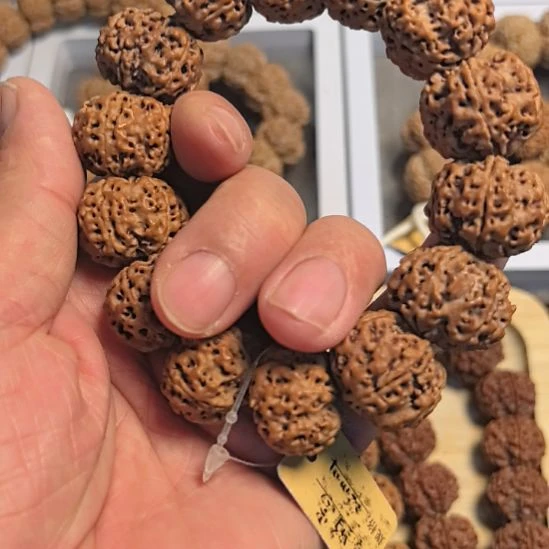 手串金刚菩提五星蜂王大金刚手串，22+原皮原色