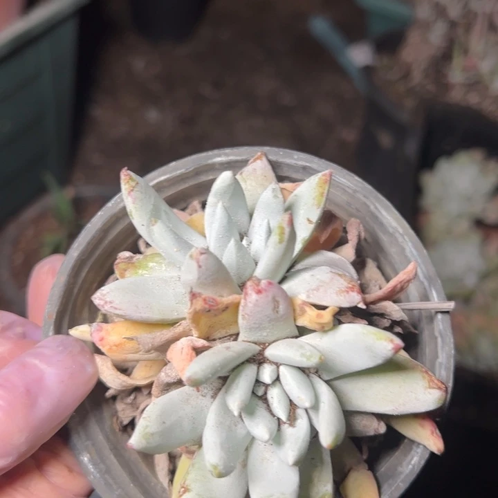 334哈哈哈哈哈哈哈哈