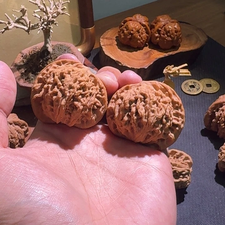 成***成桃核吊坠盘龙纹全品46