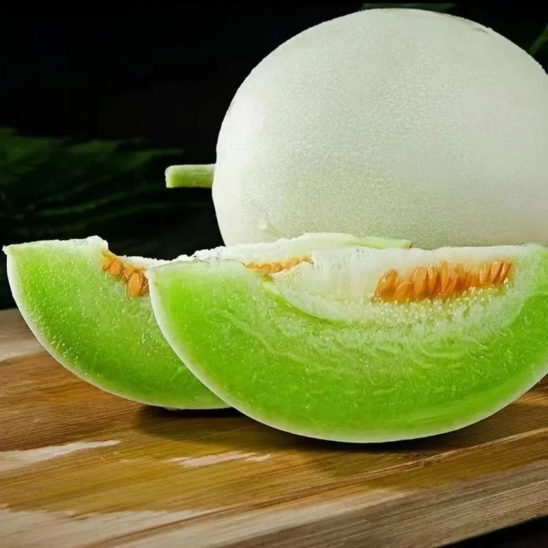 正宗山东玉菇甜瓜应季新鲜水果冰淇淋甜瓜NN