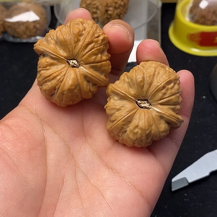 吊坠龙脊菩提南瓜墩