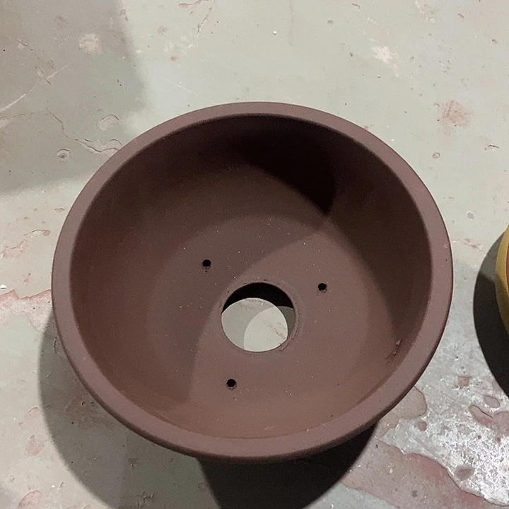 花盆花盆花盆花盆花盆花盆花盆