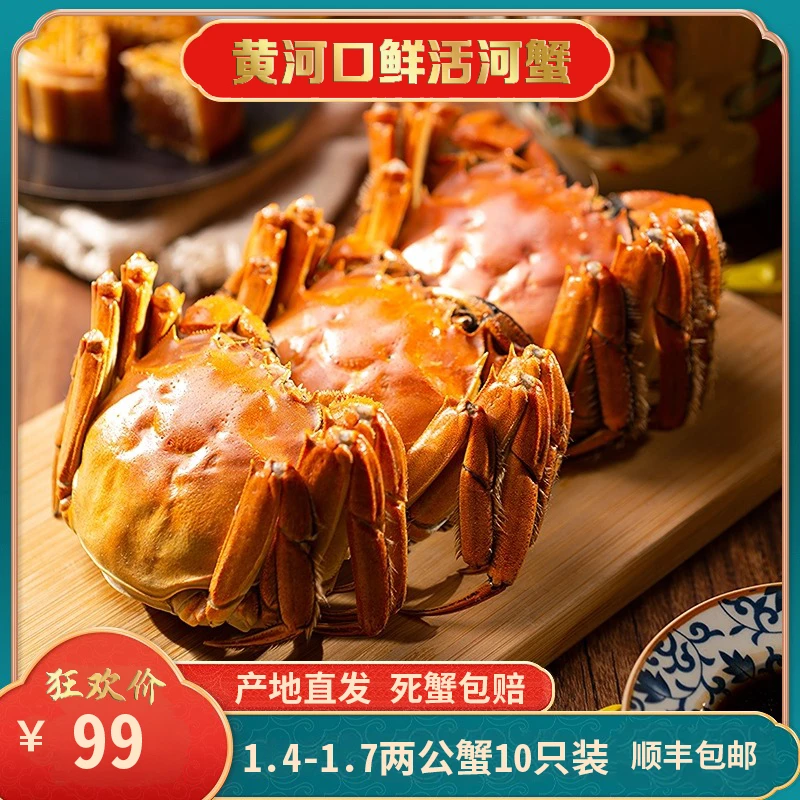 【活蟹】河蟹公蟹1.4-1.7两10只装