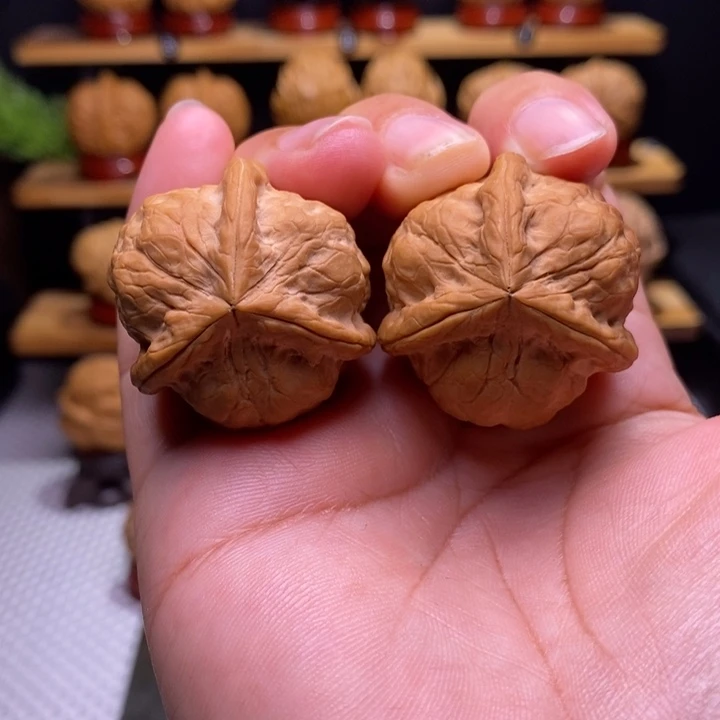 啊***呜核桃云铁甲壳虫三棱1号