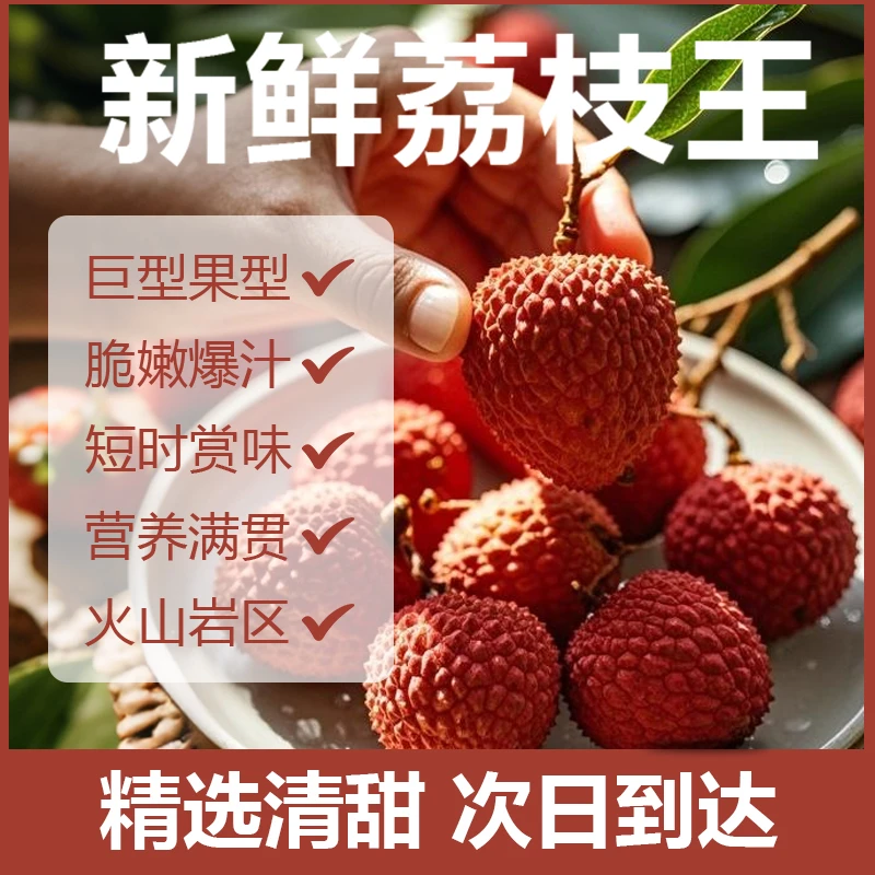 【明天到】海南荔枝王1/3/5斤现摘现发巨无霸特大超大新鲜大荔枝荔枝同城送