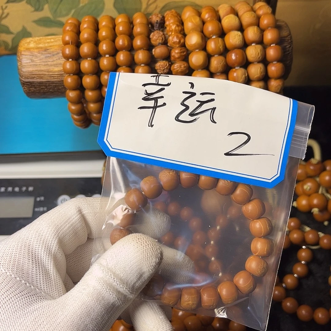 山榄木橄榄核铁核财迷11.8