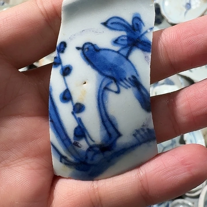 哥***帅瓷片瓷片标本，顺丰包邮