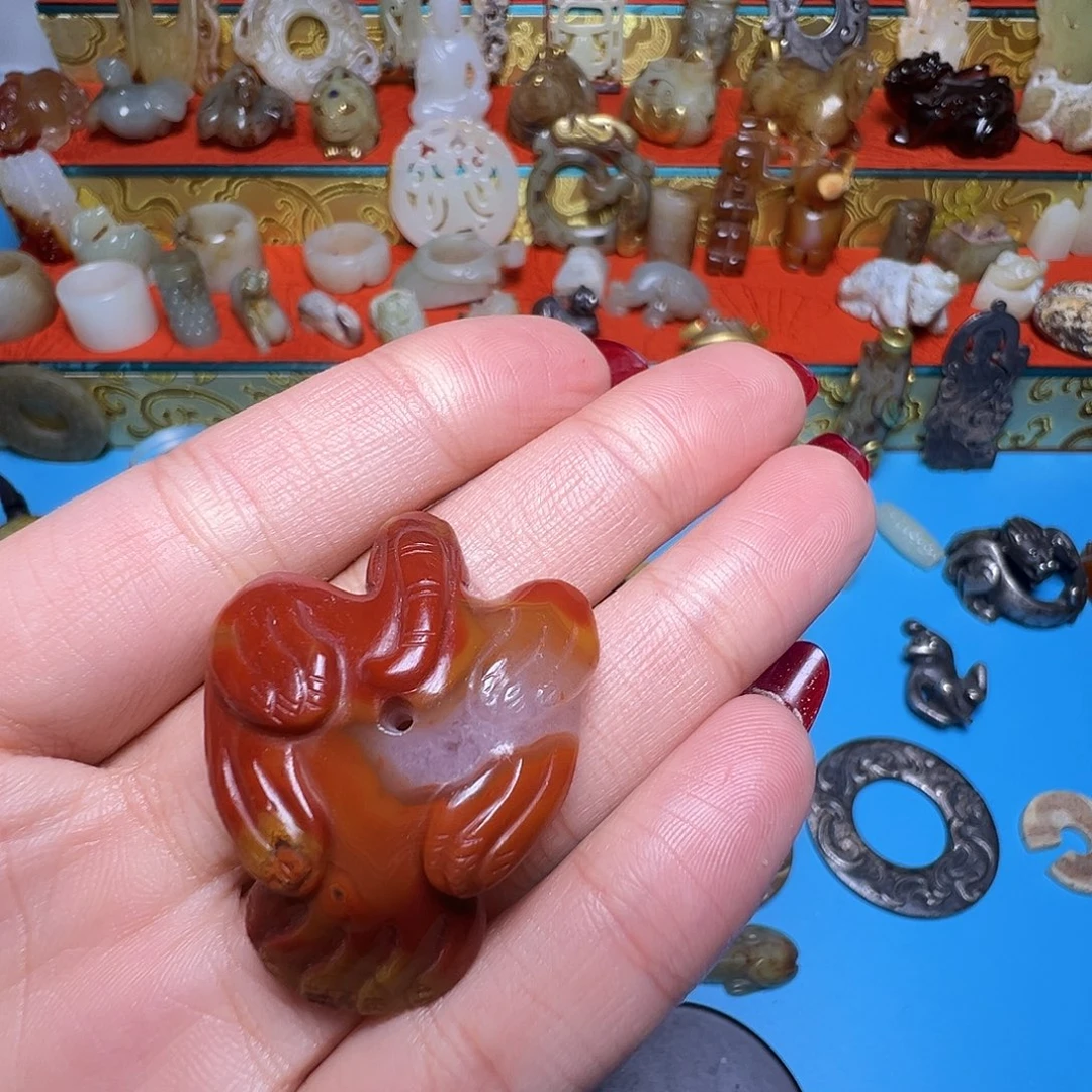 心***恙小动物………………………………