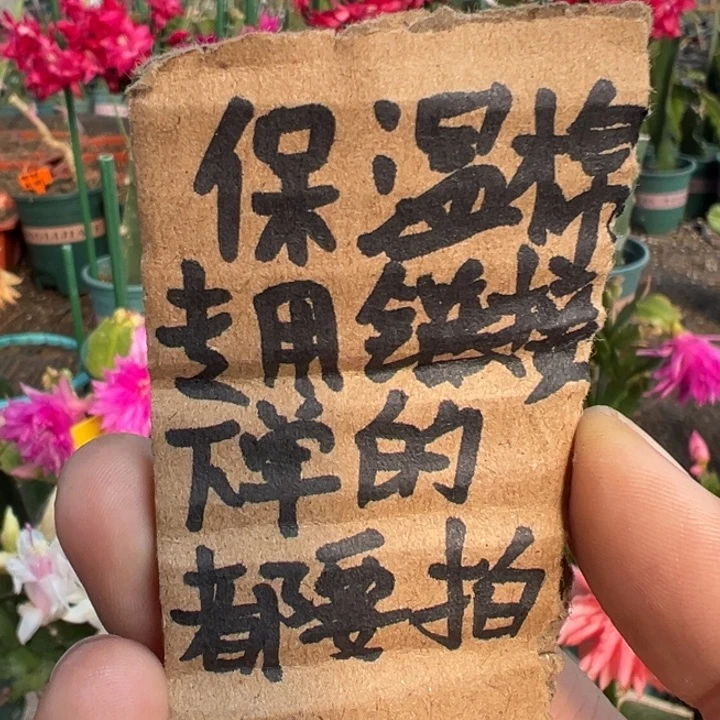 保温棉下单的都要拍，不拍冻坏了不售后