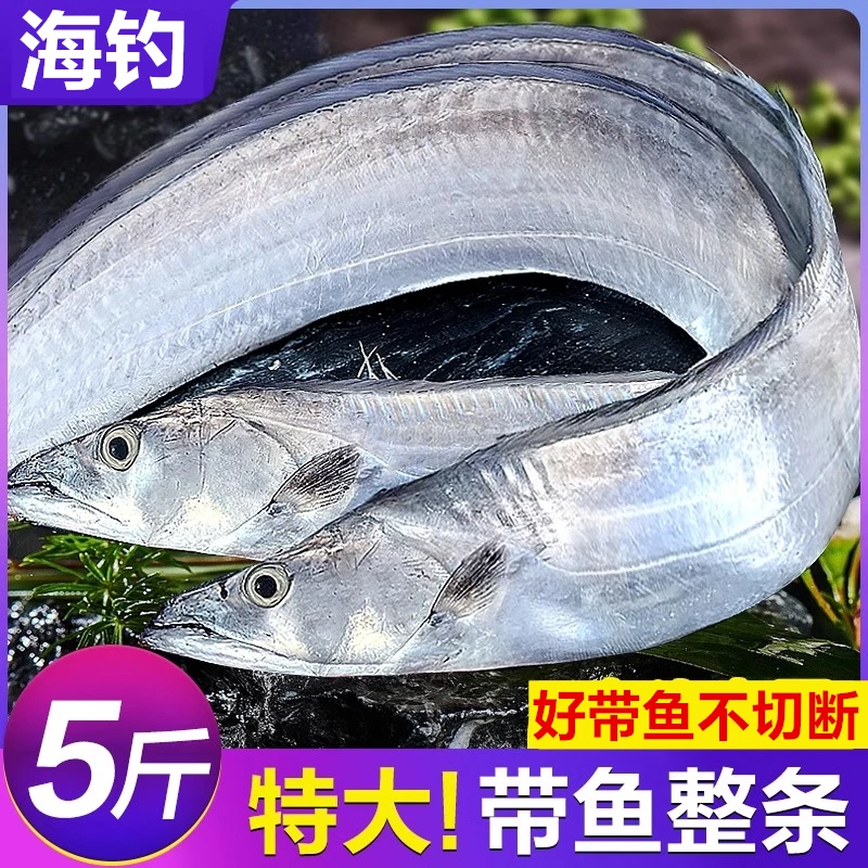 海钓整条带鱼新鲜冷冻刀鱼特级大号东海小眼深海鱼鲜活海鲜冰鲜