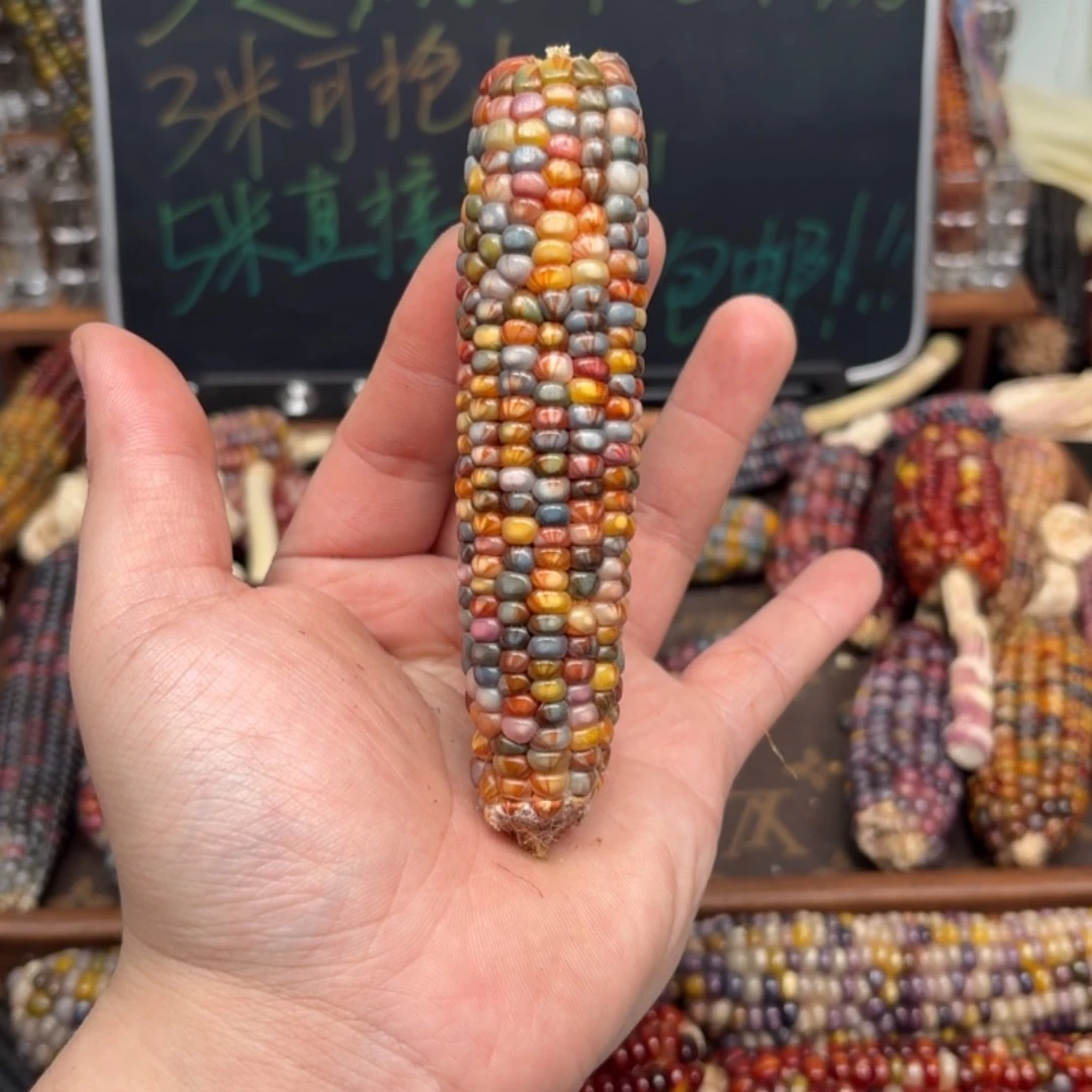 柏香籽/百香籽吊坠营*液