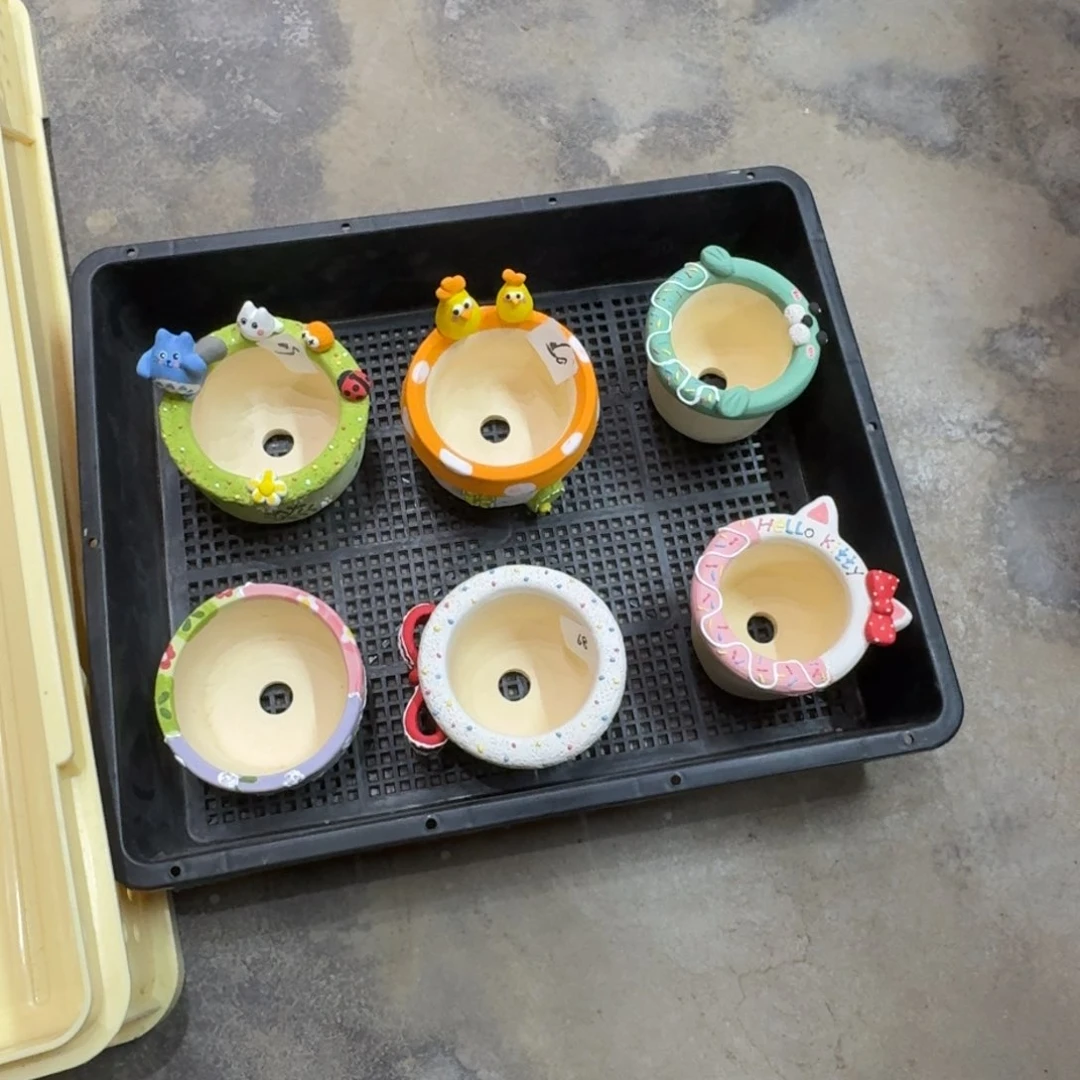 红陶叮**叮0126-35盆盆盆