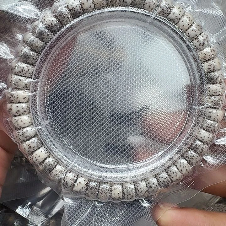 星月菩提手串482辉煌卡姿兰大眼睛星月药片94