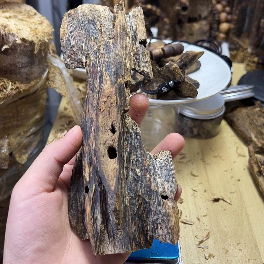 1***1木绿奇楠虫漏65克