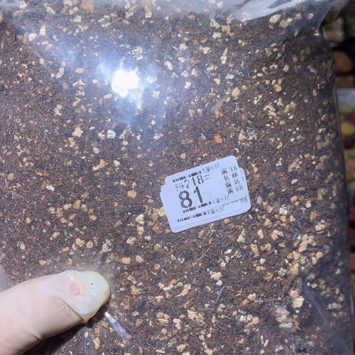 精品生石花218.81