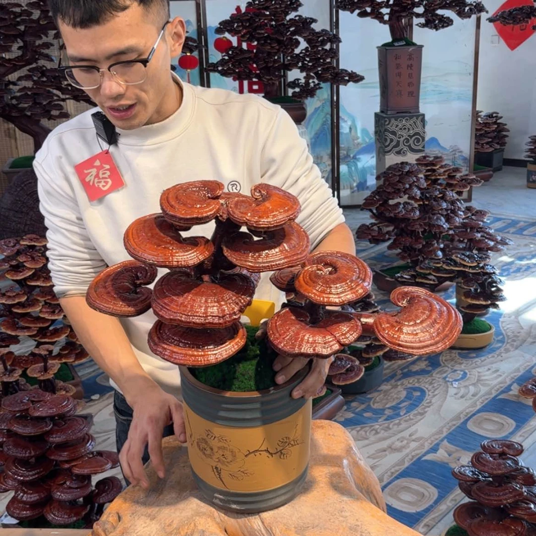 【闪购商品】88888