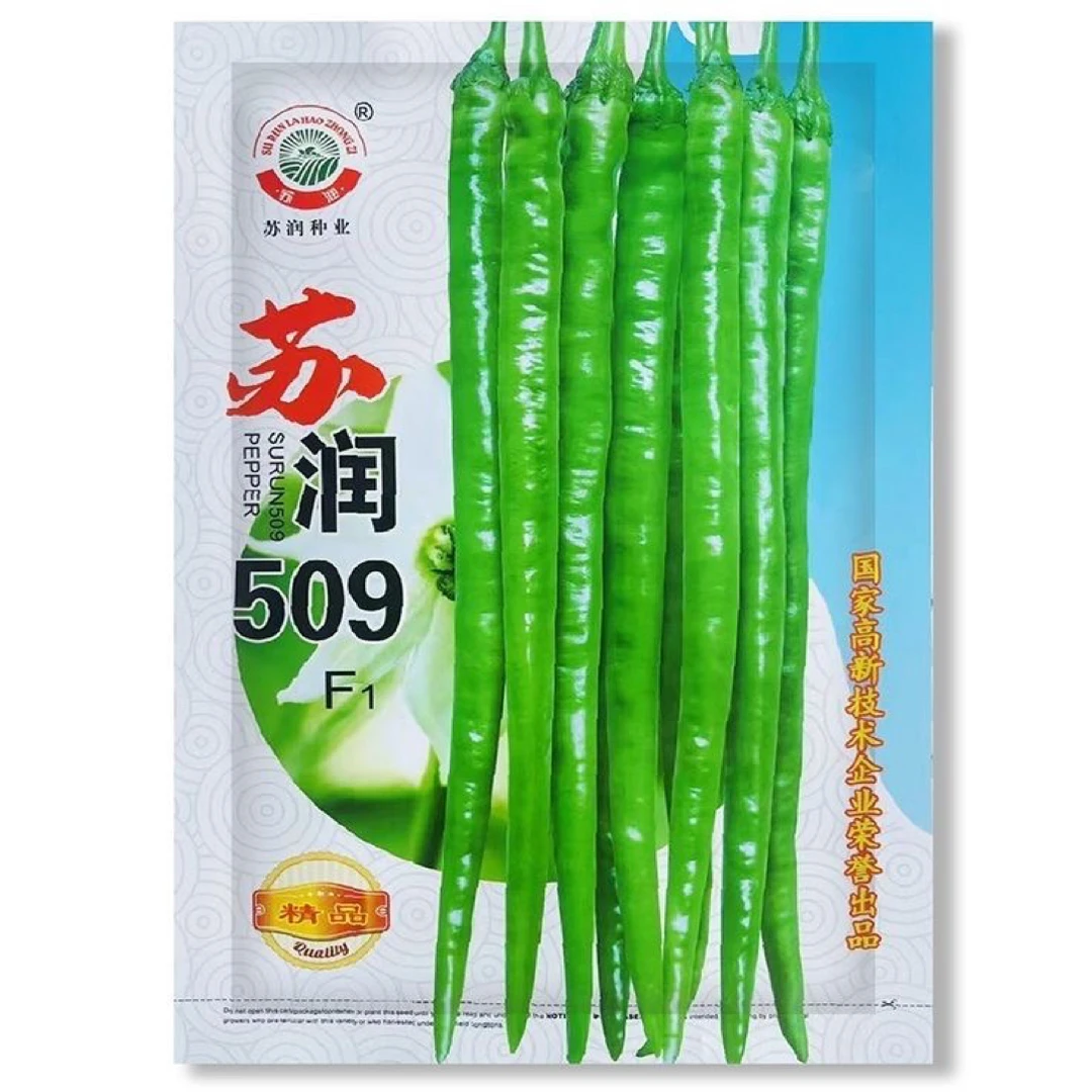 苏润509辣椒种子中早熟条椒抗病高产种植辣味适中商品性好春秋种