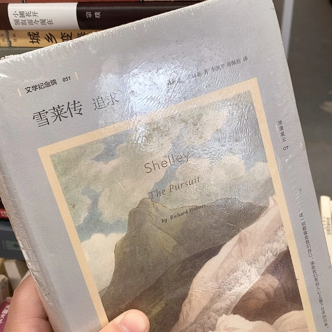 雪莱传  追求