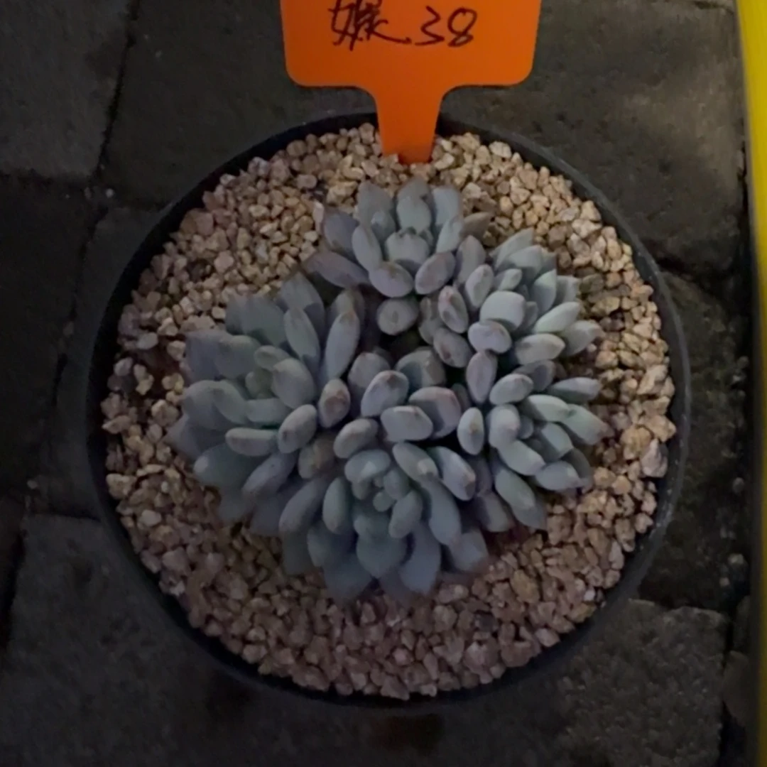 媞***111111111111111111111