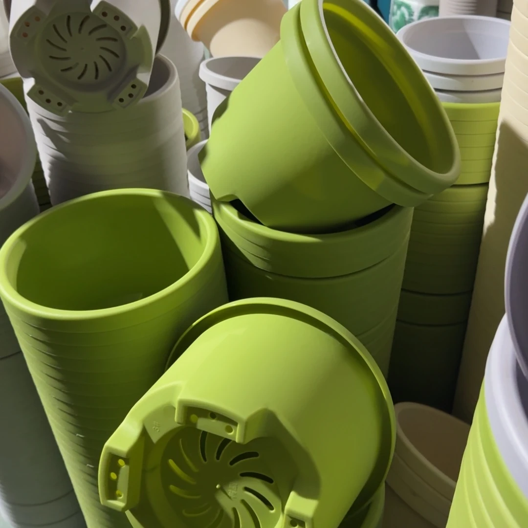 球根3号十个果绿色的