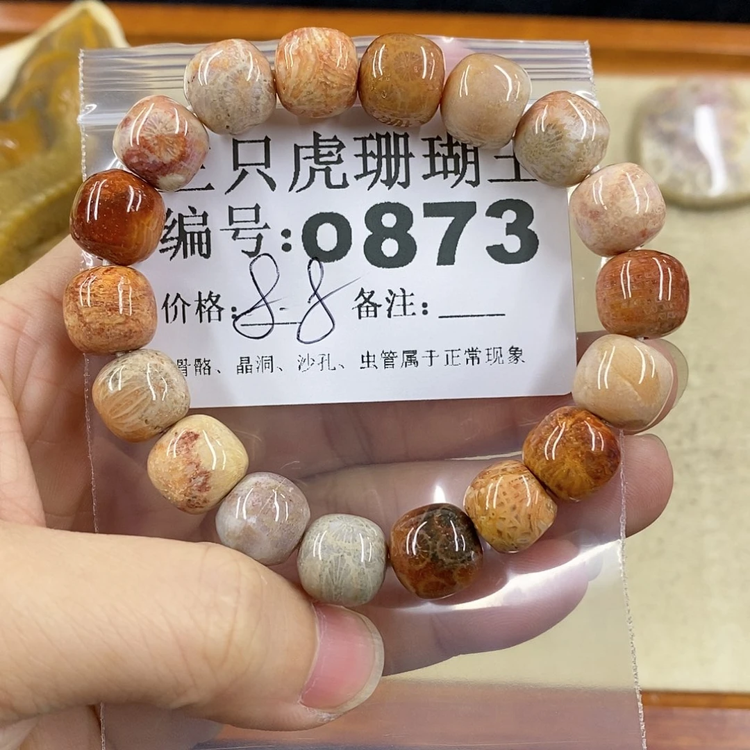 硅化珊瑚（珊瑚玉）1未镶嵌