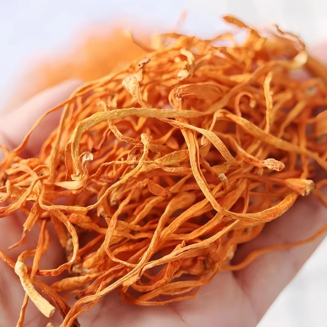 250g虫草花2025新货金虫草菌菇煲汤虫草花干货