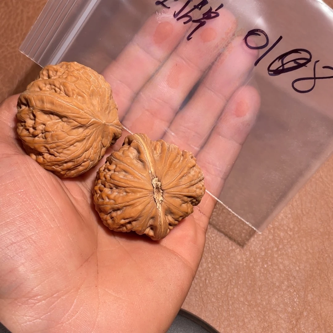 核桃手串/手链018