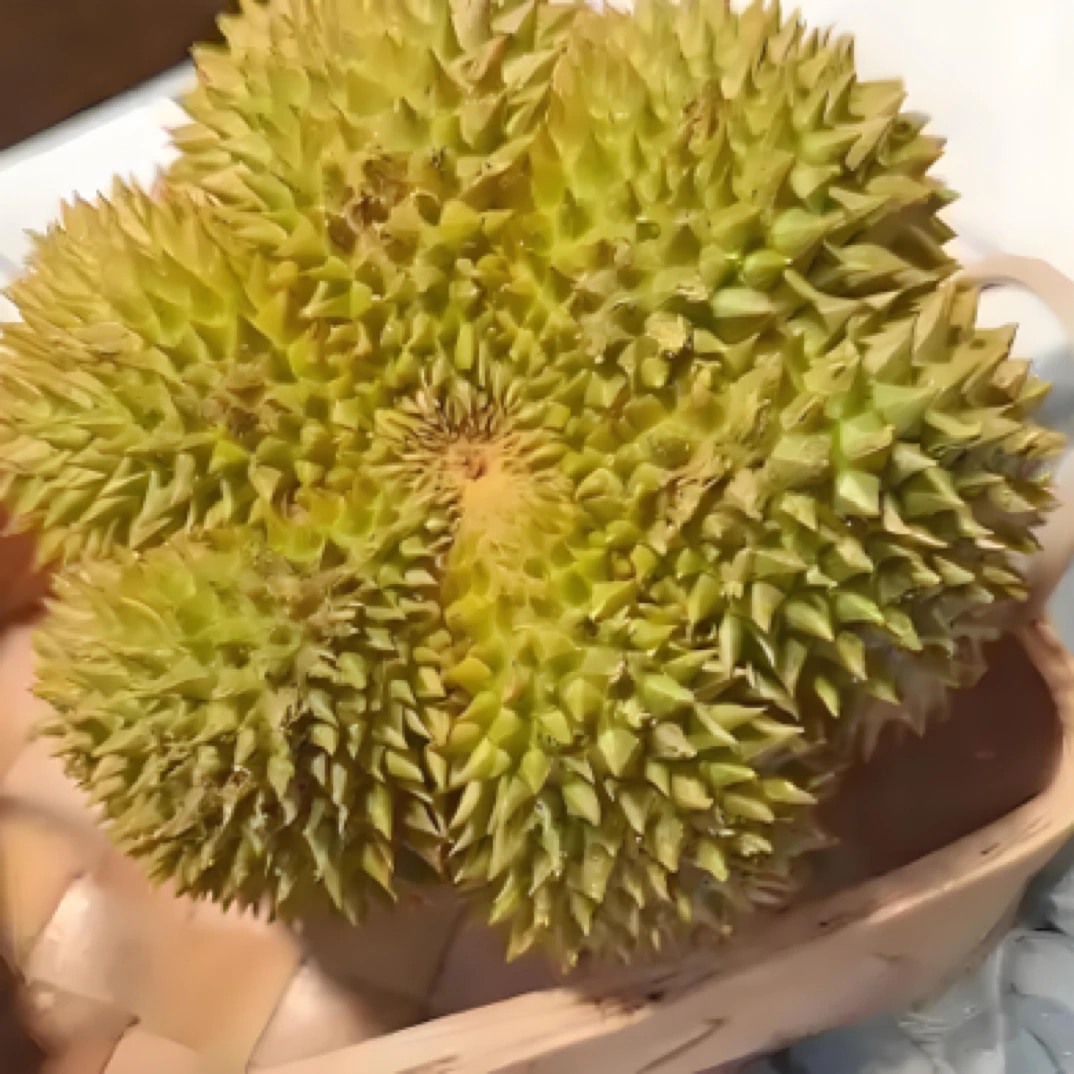 新鲜 泰国金枕《2斤纯肉 偏熟福利瑕疵果 核小》介意务拍 不售后金枕泰国