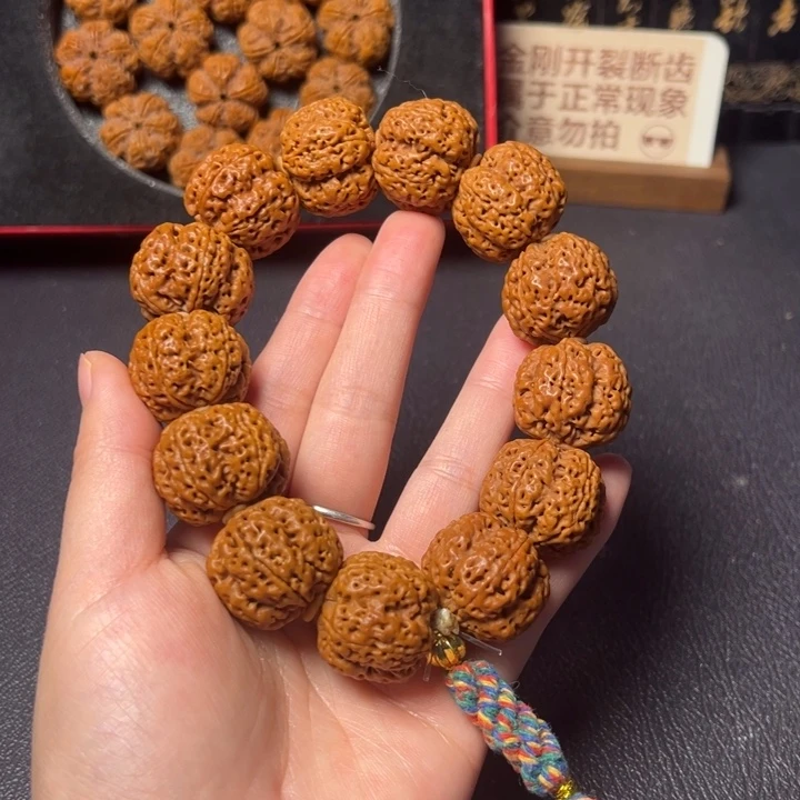 手串金刚菩提爆肉蜂王