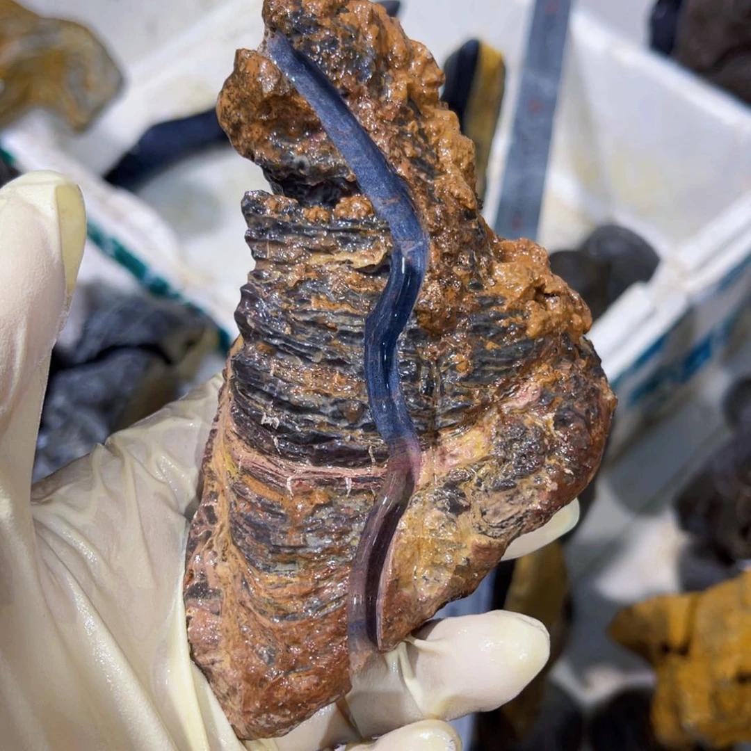 花**景附石盆景一物一拍